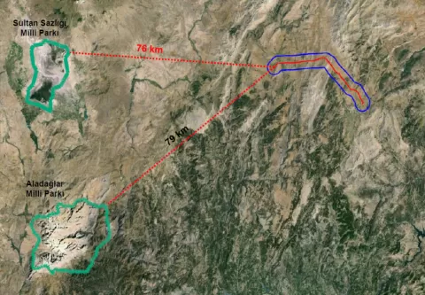 EIA Process Consultancy and Reporting