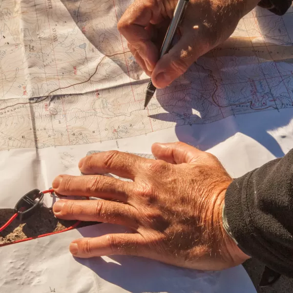 Map and GIS Services